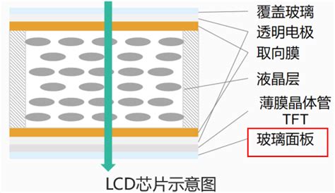 液晶空间光调制器的分类 上海瑞立柯信息技术有限公司，助力科研探索光子奥义