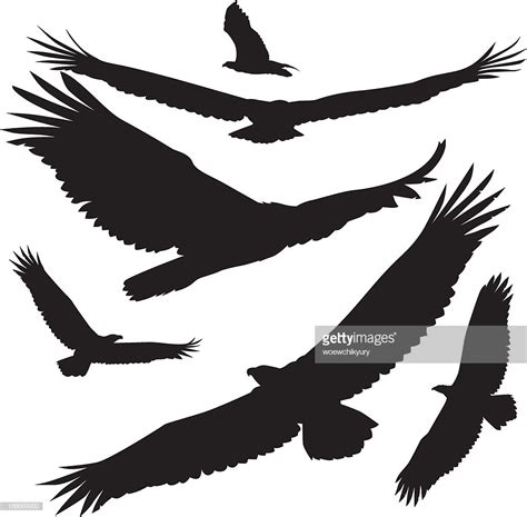 Soaring Eagle Vector at GetDrawings | Free download