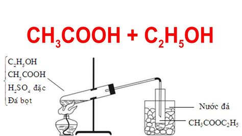 Este X mạch hở có công thức C4H6O2 Khám phá đặc điểm và ứng dụng