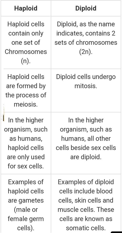 What Is The Difference Between The Diploid And The Haploid Cells