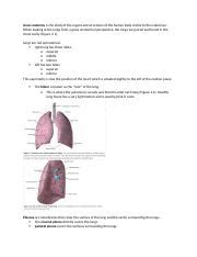 Course Hero Docx Gross Anatomy Is The Study Of The Organs And