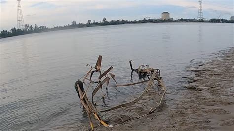 Mississippi River Record Low Water, Mudlarking, Fishing, Flathead ...