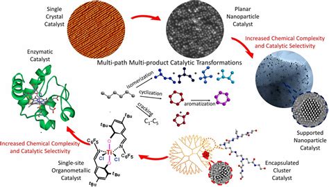 Molecular Catalysis Science Perspective On Unifying The Fields Of