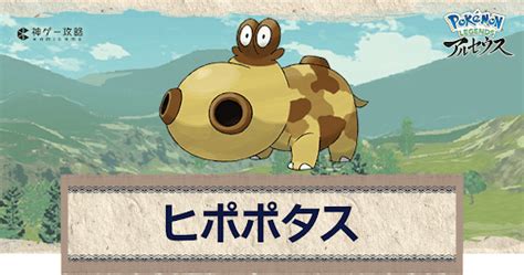 【アルセウス】ヒポポタスの進化と出現場所｜おすすめ性格・技【ポケモンアルセウス攻略wiki】 神ゲー攻略