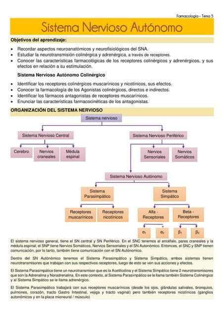 Farmacolog A Sna Y Sistema Colin Rgico Metotrexato Post Udocz