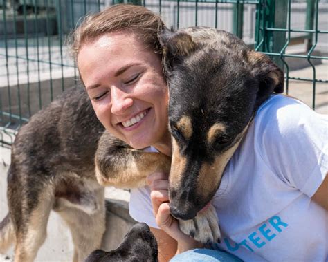 Faire Garder Son Chien En Cas D Hospitalisation