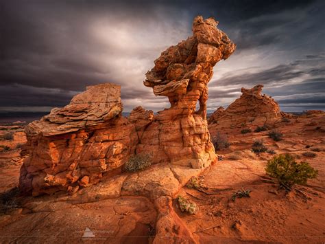 South Coyote Buttes Vermilion Cliffs Wilderness Arizona Flickr