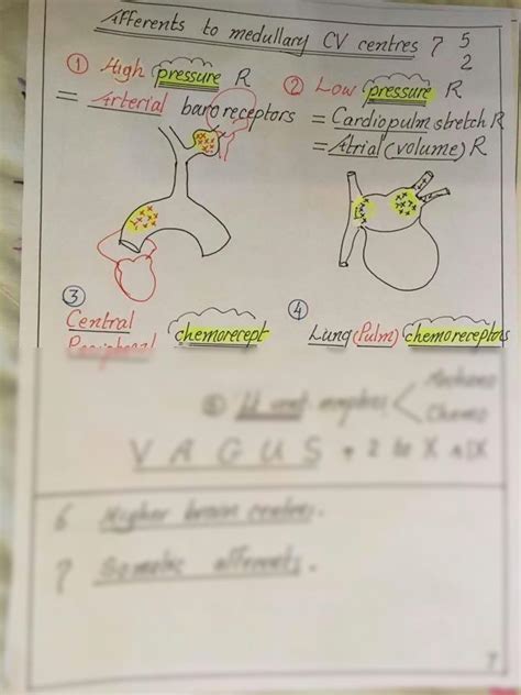 Solution Cvs Dr Nagi Diagrams Studypool