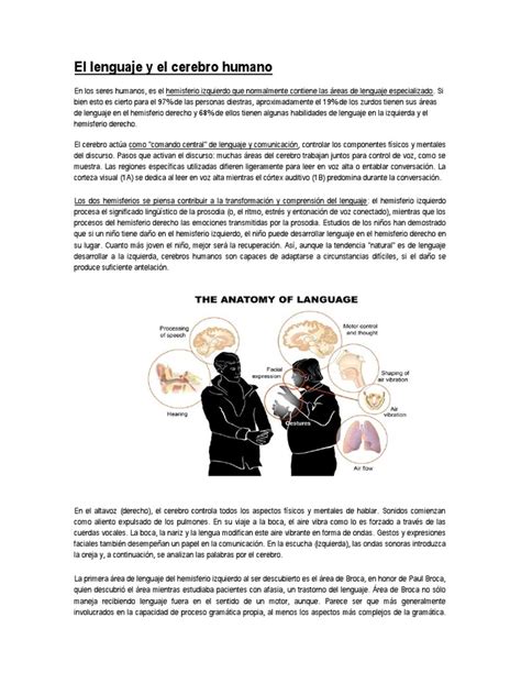 El Lenguaje Y El Cerebro Humano Pdf Hemisferio Cerebral Afasia