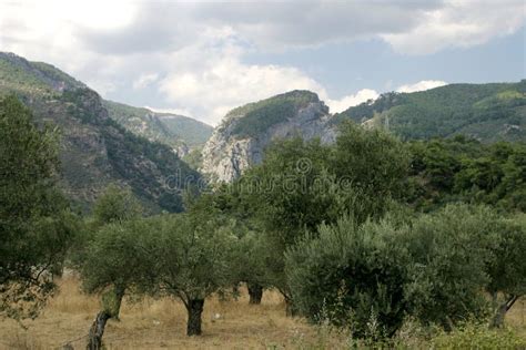 Heaven In The Mount Ida Turkey Stock Image Image Of Mountains Brook