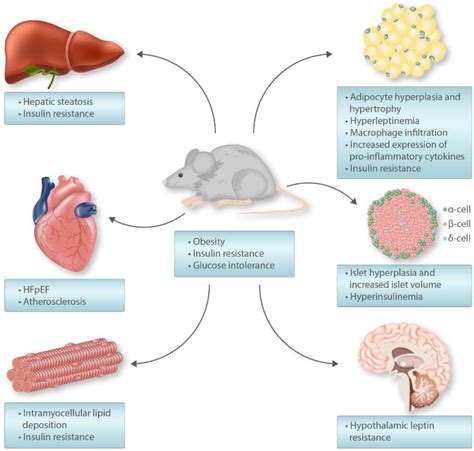 Nutrients Free Full Text Cardio Metabolic Effects Of High Fat Diets