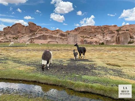 Tour Al Salar De Uyuni Desde San Pedro De Atacama