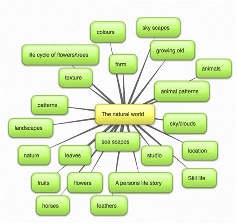 photography unit 2 - Sophie 6247: mind map- natural world