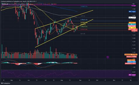 NASDAQ AAL Chart Image By EvaPanda TradingView