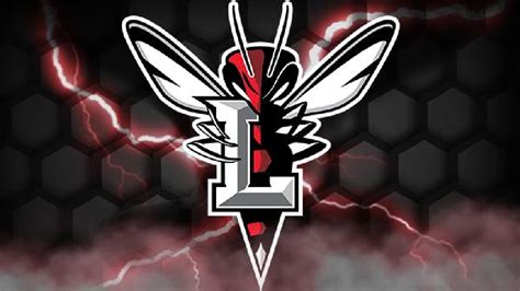 Lynchburg Hornets reveal new logo and mascot | WSET