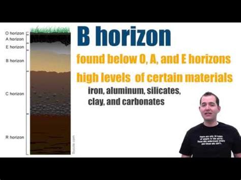 Soil Horizon Types | Quizalize