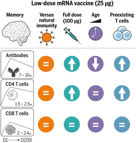 Low Dose Mrna Covid Vaccine Generates Durable Memory Enhanced