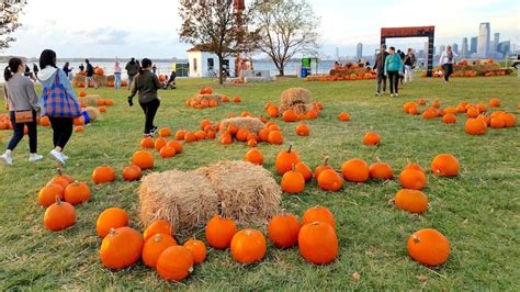 Best Pumpkin Patches In Nyc You Can Get To With A Metrocard Metro Us