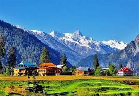 4N 5D Gulmarg Pahalgam Sonmarg Srinagar Tour Package At 20000 By