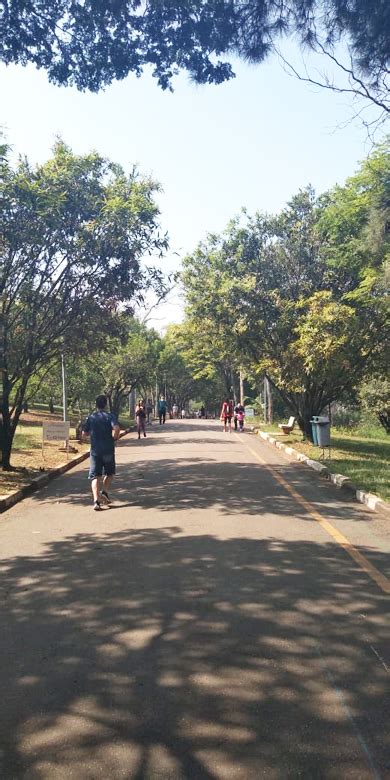 Parque Ceret no Tatuapé é excelente opção de lazer Parque Aquático