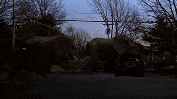 Jumanji Stampede GIFs - Find & Share on GIPHY