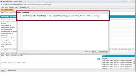 Soql In Apex Programming Dataminds Technologies