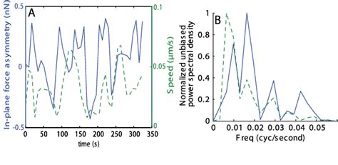 PDF 4D Traction Force Microscopy Reveals Asymmetric Cortical Forces