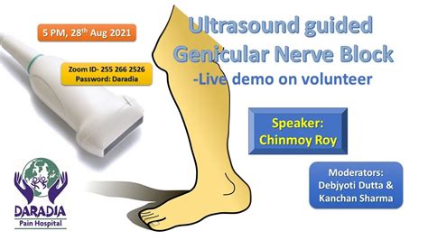 Usg Guided Genicular Nerve Block Live Demo On Volunteer Youtube