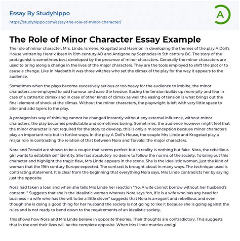 The Role Of Minor Character Essay Example