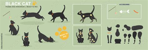 Cute active black cat vector ready to animate with multiple poses and ...