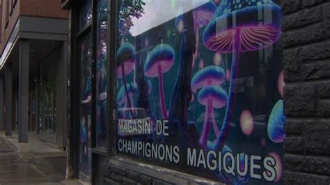 Illegal Magic Mushroom Store Set To Open In Montreal