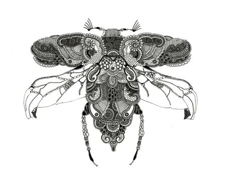 Insects By Rosalind Monks At