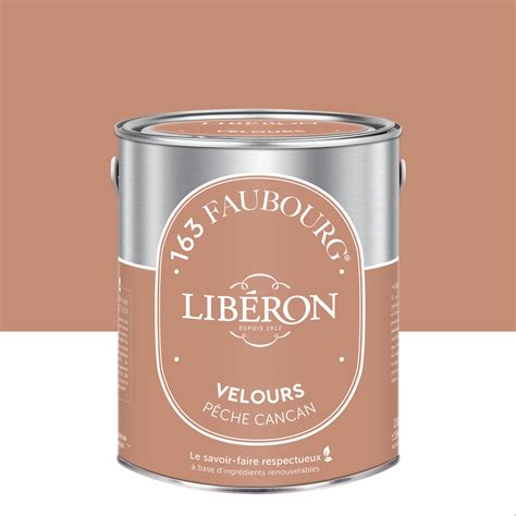 Peinture mur boiserie pêche cancan velours LIBÉRON 163 faubourg 2 5l