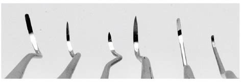 Vta 195 Lab Prep Dental Instrument Id Scaler Vs Curette 101724 Diagram