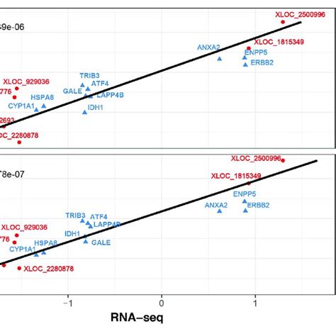 Correlations Of Gene Expression Level Of 10 Differentially Expressed