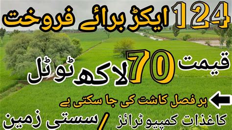 Agriculture Land For Sale In Punjab Pakistan Zarai Zameen