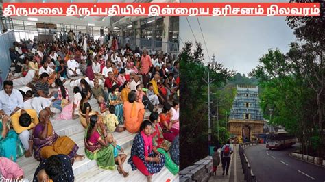 Tirumala Tirupati Free Darshan Divya Darshan Ticket Details TTD Today