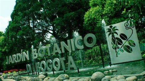 Catorce razones para visitar el Jardín Botánico de Bogotá | Bogota.gov.co