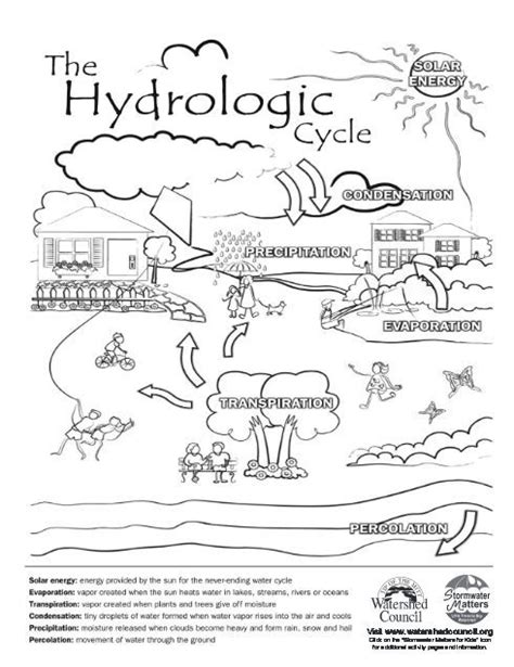 The Hydrologic Cycle Water Cycle Worksheet Water Cycle Kindergarten Worksheets