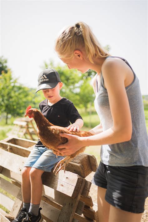 Bauernhofpädagogik Der Karlshof in Nierendorf Landwirtschaft Bildung