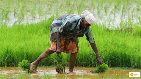 भारतीय किसान बढ़ा रहे हैं अपना स्किल केंद्र सरकार की मदद से बढ़ रही है