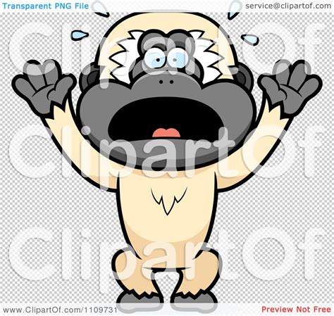 Clipart Scared Gibbon Monkey Royalty Free Vector Illustration By Cory