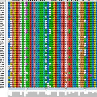 Multiple Sequence Alignment Of The Dof DNA Binding Domain Among 38