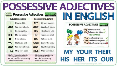 Possessive Adjectives French