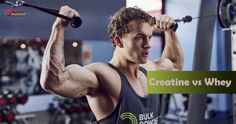 Creatine Vs Whey Which Is Better For Bodybuilding