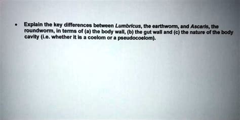 Solved Explain The Key Differences Between Lumbricus The Earthworm