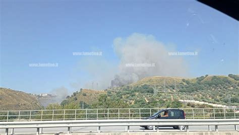 In Fiamme Sterpaglie E Canneti Diversi Roghi Tra Lamezia E Catanzaro