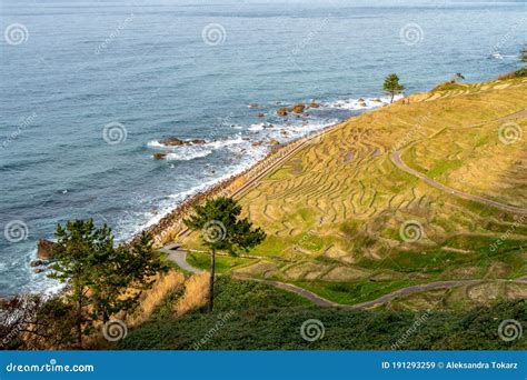 Shiroyone Senmaida Rice Terraces with Sea View and Illuminations on ...