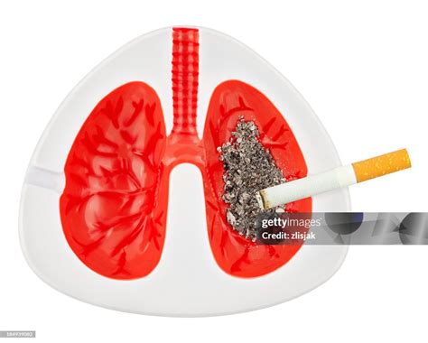 Lungs Of A Cigarette Smoker