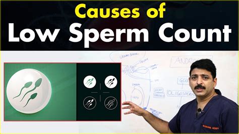 Main Cause Of Low Sperm Count In Men Tips To Boost Sperm Count Dr